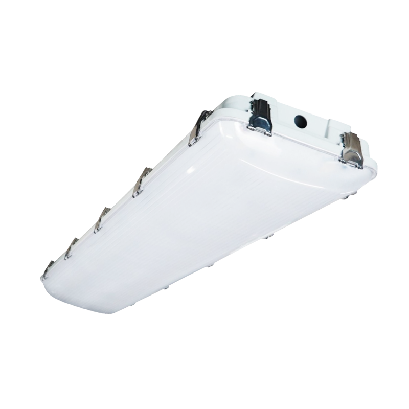 LG21C NY Multi-Luminous High-Brightness LED TRI-PROOF LYS