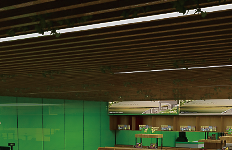 LG05 mia. LED batten fitting